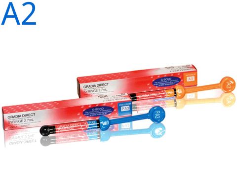 GC Gradia Direct 4 gr A2