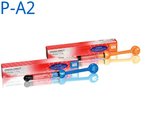 GC Gradia Direct 4,7gr P-A2